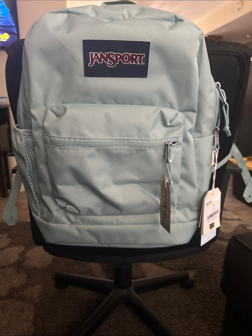 Sage Jansport Mint Green Classic Backpack